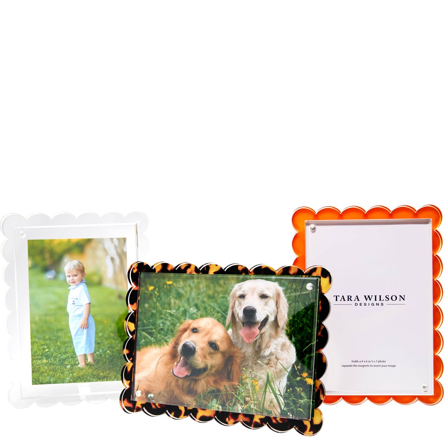 SCALLOP FRAME - CLEAR