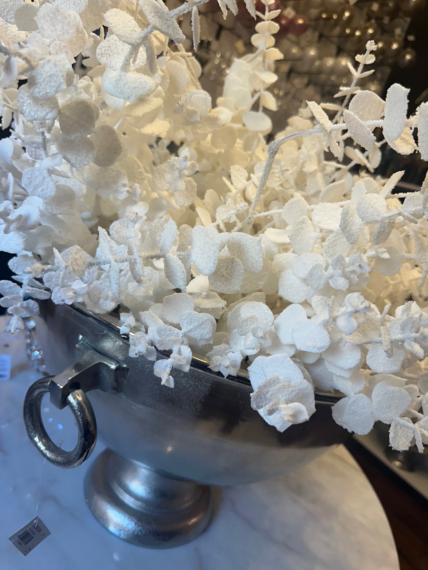 White Frosted Eucalyptus Stems