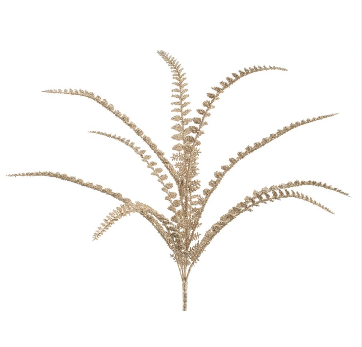 Fern Bush