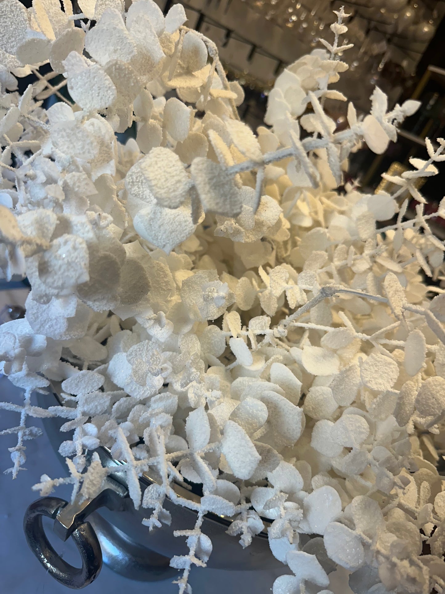 White Frosted Eucalyptus Stems