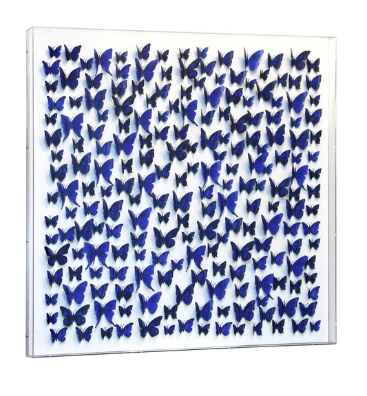 Butterfly wall art BLUE
