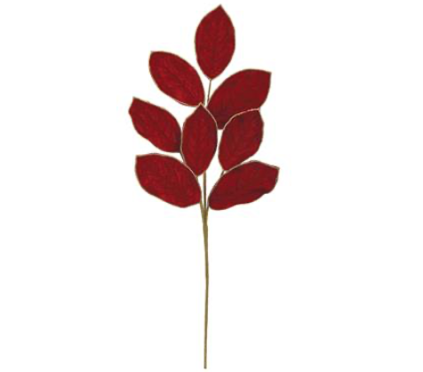 Red Magnolio stem