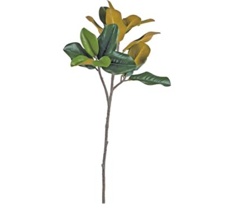 Sel Art - mag leaf