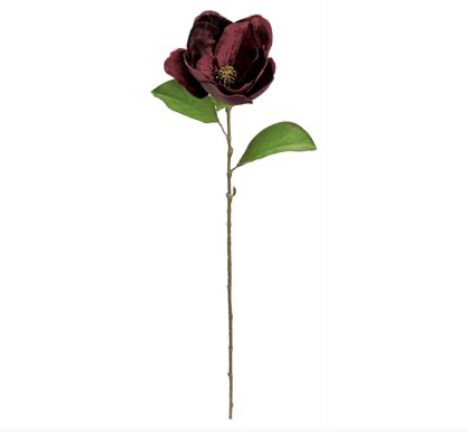 Burgandy Magnolia