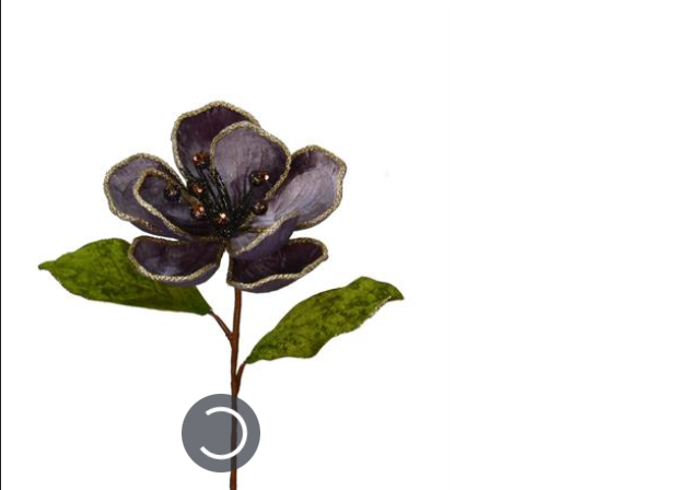 Plum Magnolia