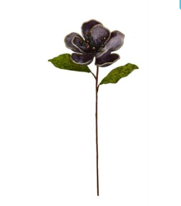Plum Magnolia