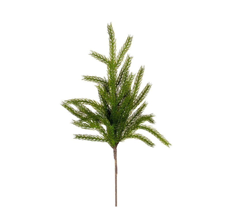 Green Norfolk Pine Spray