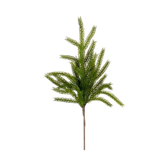 Green Norfolk Pine Spray