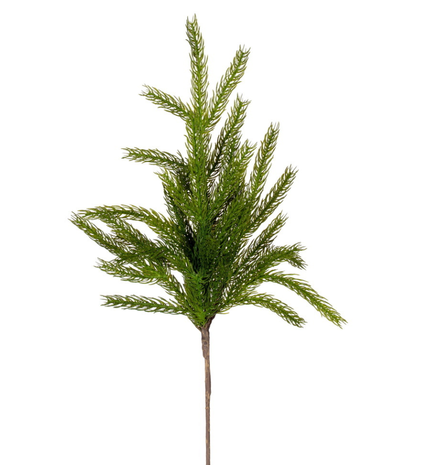 24" Green Norfolk Pine Spray