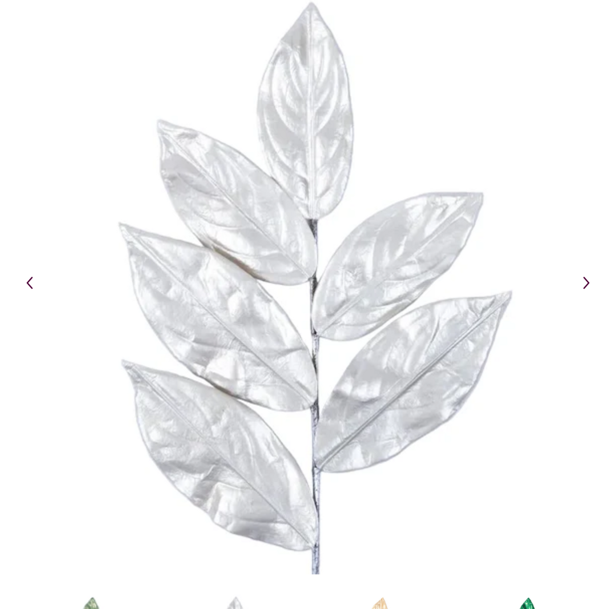 Champagne Magnolia Leaves