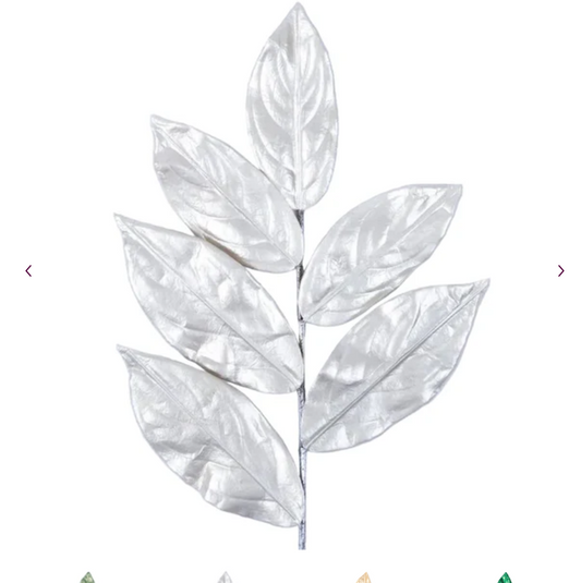 Champagne Magnolia Leaves