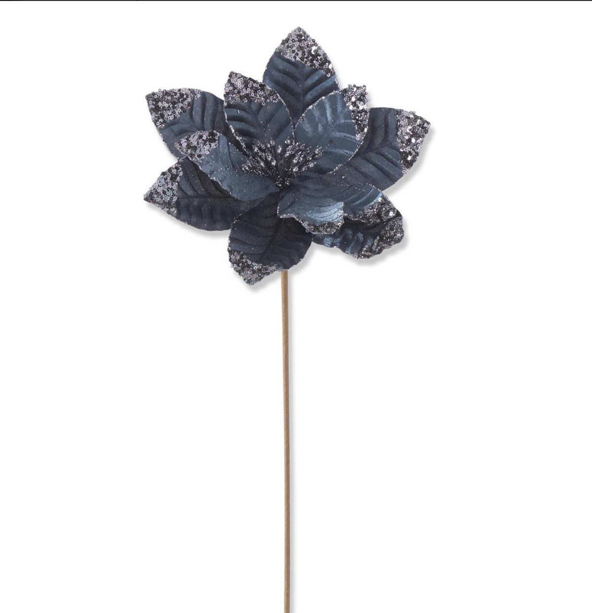 Blue Velvet Poin