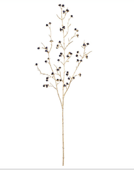 Berry Stem