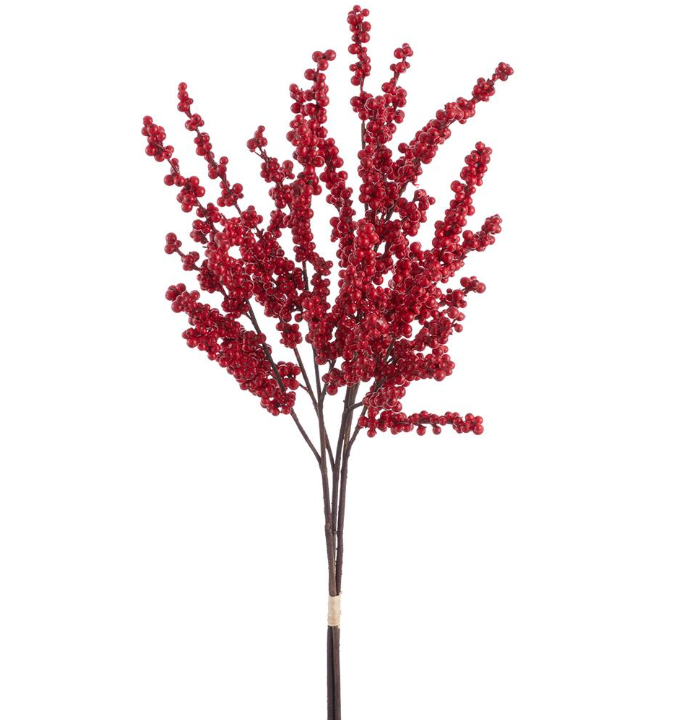 Berry Bundle